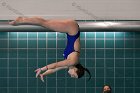 Women's Diving  Wheaton College Women’s Diving vs Mount Holyoke College. - Photo by Keith Nordstrom : Wheaton, Swimming & Diving